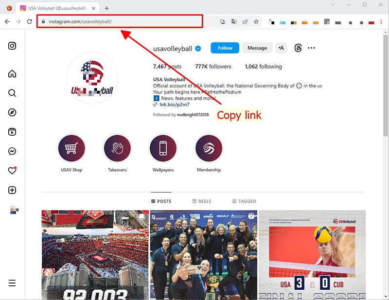copy profile link in address bar